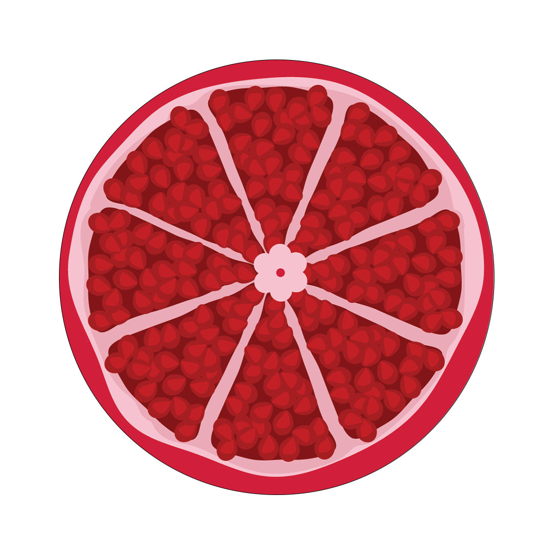 CF Holiday Pomegranate twiist™ Automated Insulin Delivery System Stickers - Pump Peelz